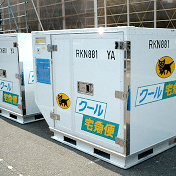 Air Freight Refrigerated Container