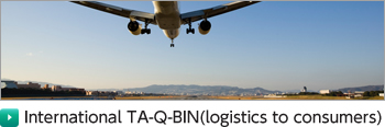 International TA-Q-BIN(logistics to consumers)