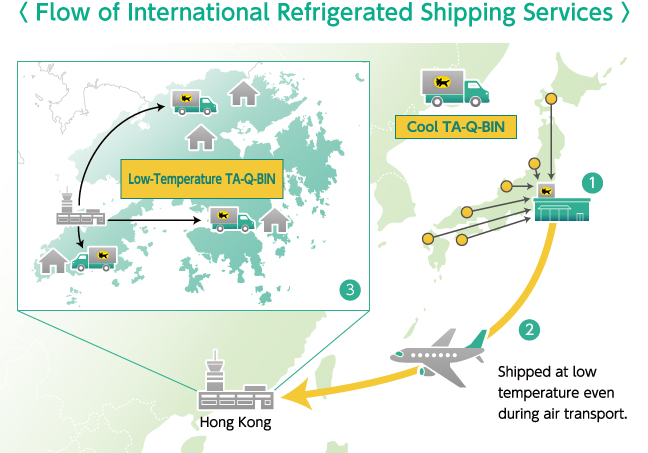 Flow of International Refrigerated Shipping Services